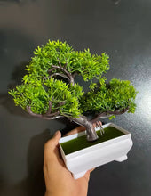 Load image into Gallery viewer, Lifelike Artificial Bonsai Tree in Minimalist Pot – Realistic Faux Greenery for Home & Office Tabletop – Maintenance-Free Potted Plant Ornament